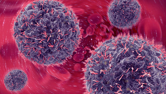 מבחן היעילות: נוגדנים נצמדים למעטפת החיצונית של נגיפים ומפעילים תגובה חיסונית | איור:Science Photo Library