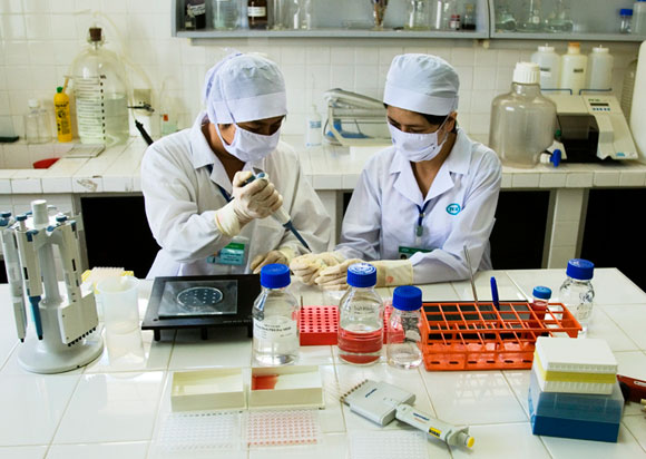 לומדים מניסיון העבר. חוקרות עוסקות בפיתוח חיסון לשפעת העופות, במעבדה בוויאטנם | צילום: Science Photo Library