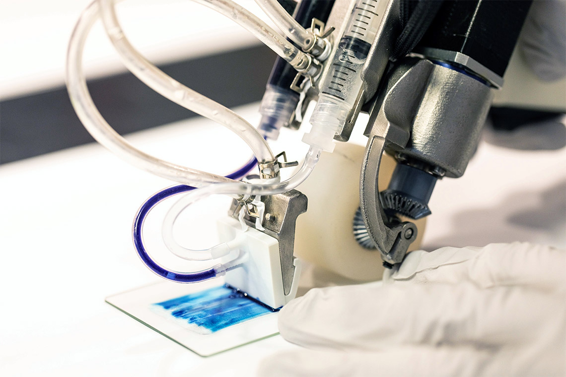 המכשיר החדש, Daria Perevezentsev