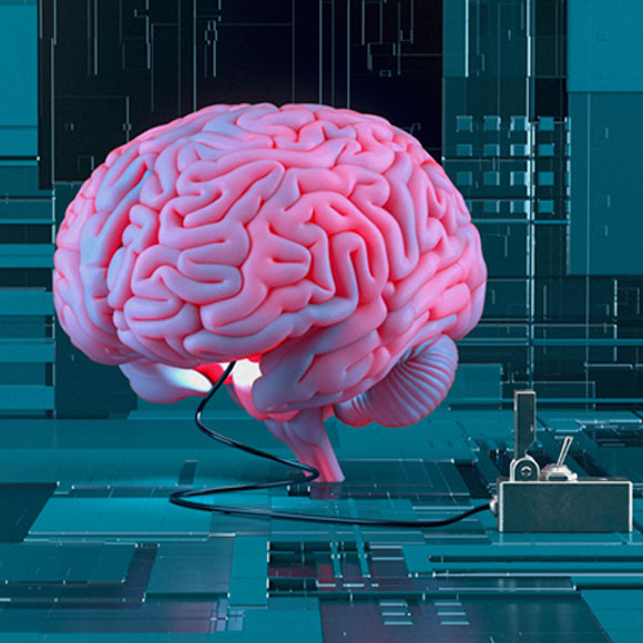 מוח ומעגלי מחשב