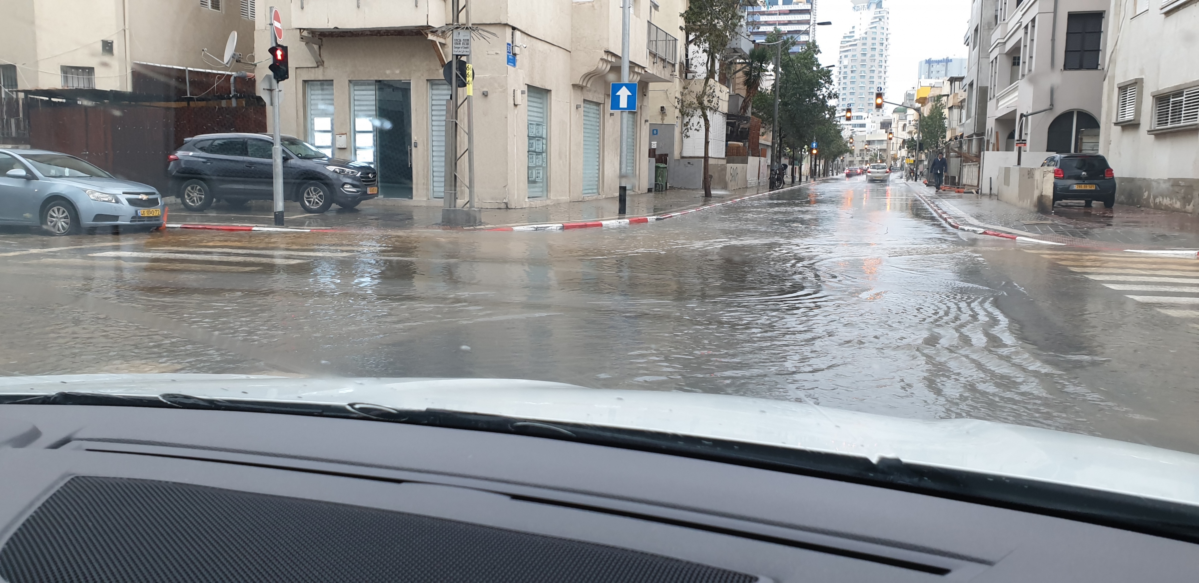 הצפות ביפו, ד"ר צביה אלגלי