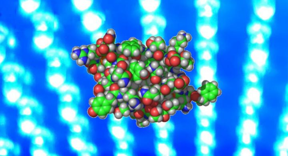 מודל של החלבון אינסולין. קרדיט: Tufts University