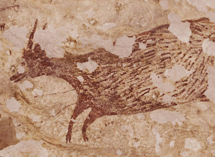 הדוגמה המוקדמת ביותר לאמנות פיגורטיבית. פרט מתוך הציור שהתגלה באינדונזיה | צילום: Endra