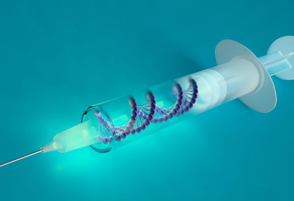 צירופים מסוימים של גנים שיפרו את מצבם של העכברים בכל הקבוצות. ריפוי גני | איור: Science Photo Library