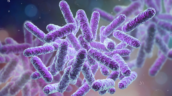 הפכו מחיידקי מעיים התלויים בסוכר לחיידקים המבוססים על פחמן דו חמצני. חיידקי E. coli | איור: Science Photo Library