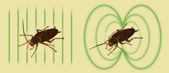 ההבדלים בשדה המגנטי של תיקנים מתים וחיים נובע כנראה מהתגבשותם אחרי המוות | איור מתוך מאמר המחקר