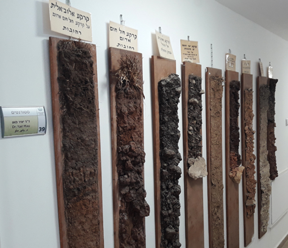 דוגמאות של קרקעות שהכין מוקדי עדיין תלויות בבניין המחלקה לחקר הקרקע והמים בפקולטה לחקלאות | צילום: איתי נבו