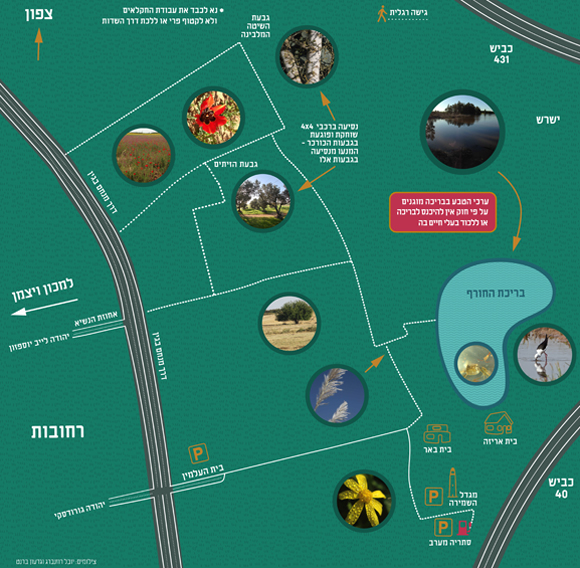 מפת בריכת החורף של רחובות