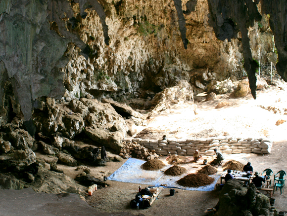 כמעט 200,000 שנות היסטוריה של חולדות ומינים אחרים. מערת ליאנג בואה | צילום: Science photo Library 