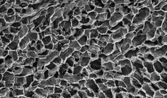 מתפקד כמו מח עצם רגיל, לפחות בעכברים. צילום של השתל במיקרוסקופ אלקטרונים סורק | מקור: אוניברסיטת הרווארד