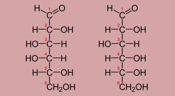 ההבדל היחיד: מיקום המימן (H) וההידרוקסיל (OH) הקשורים לפחמן 4. מימין: גלוקוז; משמאל: גלקטוז | תרשים: מריה גורוחובסקי