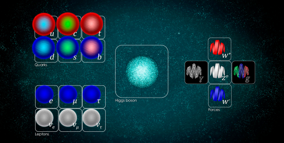 המודל הסטנדרטי: חלקיקי החומר (פרמיונים) משמאל והחלקיקים נושאי הכוח במרכז ומימין | איור: Science Photo Library