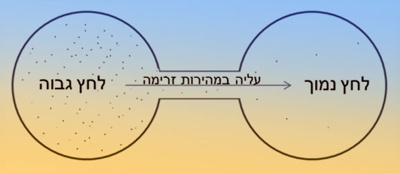 ככל שהלחץ נמוך יותר, הזרימה מהירה יותר, ושני הכוחות הם ביטויים של אנרגיה | איור: ד"ר אבי סאייג