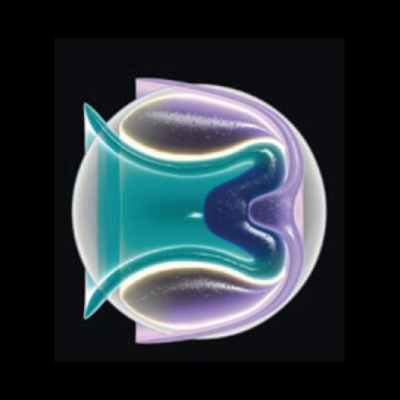 איור גלגל עין. קרדיט: בריאן כריסטי | Scientific American