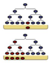 גרף המייצג את ההגנה הצולבת שחידיקים מקבלים מפני הדבקה בזן אחר של נגיף מסוים. קרדיט: דן סילינגר | Scientific American