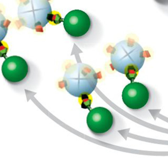 איור חלקיקים כדוריים נקשרים לוירוס ה- HIV. קרדיט: ויקיפדיה | Scientific American 