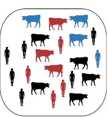 איור מחלות ממשפחת האבעבועות. קרדיט: המעבדה של ג'יימס לויד-סמית | Scientific American