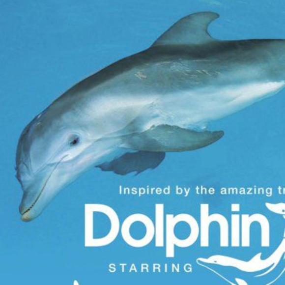 תמונת הדולפינה וינטר לאחר שהותאם לה תותב. קרדיט: באדיבות חברת האנגר בע"מ | Scientific American