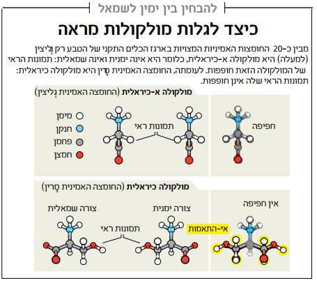 אינפוגרפיקת מולקולות מראה כיראליות וההבדלים הכימיים ביניהן. קרדיט: ג'ן כריסטיינסן | Scientific American