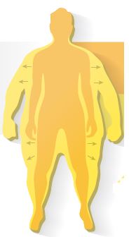 איור אילוסטרציה.קרדיט: ג'ן כריסטיאנסן | Scientific American