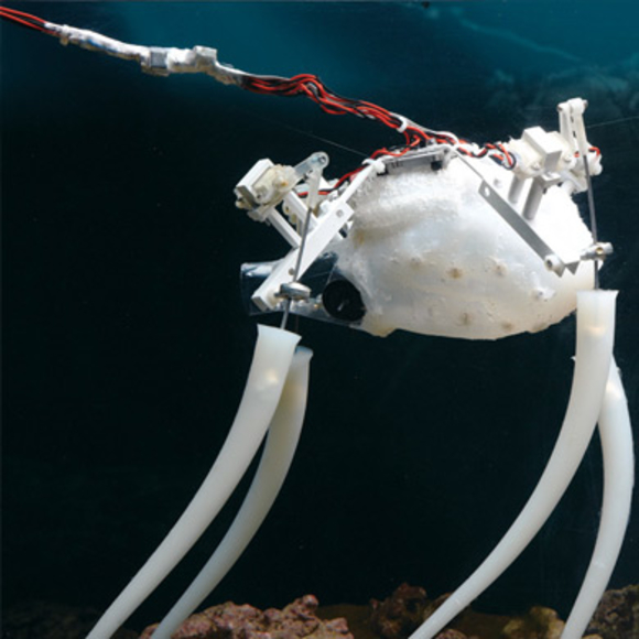 תמונת תמנון רובוטי.קרדיט: ריינהארד האנגר | Scientific American