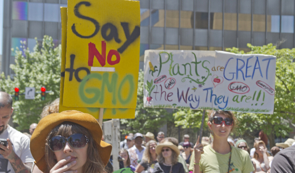 עד כמה הם באמת מבינים את הסוגיה? הפגנה נגד מזון מהונדס גנטית בקרוליינה הצפונית | צילום: Shutterstock