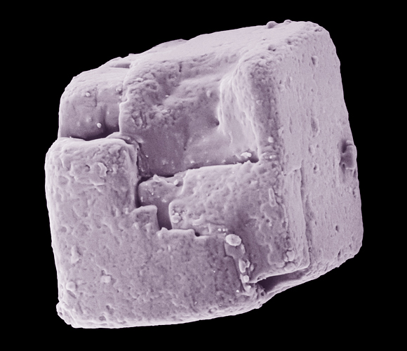 גביש מלח קובייתי | Science Photo Library