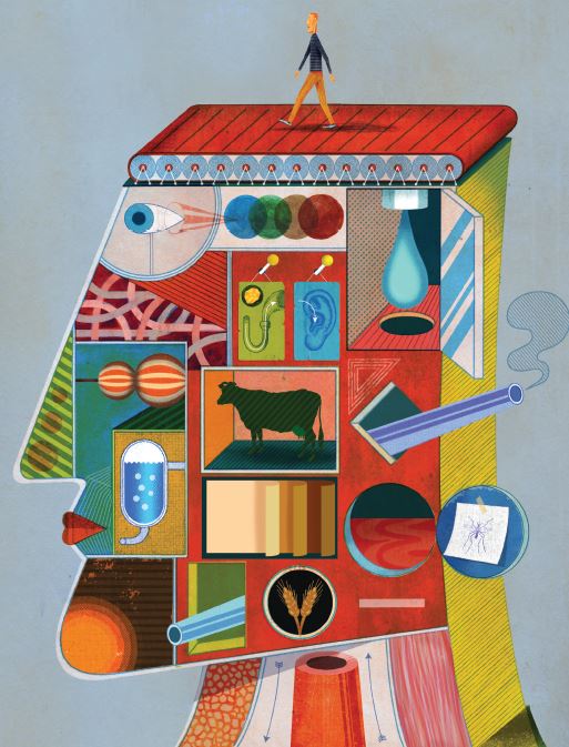 איור בית חרושת עם המבנים השונים של ההתפתחות האנושית ואדם הולך מעליו. קרדיט: כריסטיאן נורת'איסט | Scientific Ameircan