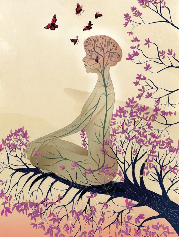 איור אשה עושה מדיטציה בטבע. קרדיט: מרקוס צ'ין | Scientific American