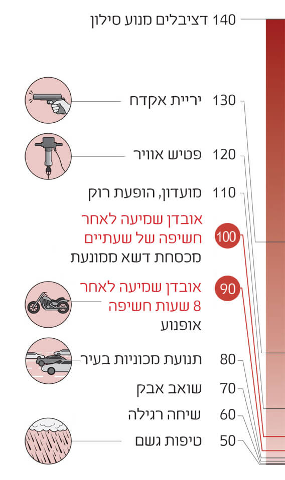 איור של מקורות רעש נפוצים.קרדיט: אמנדה מונטנז | Scientific American
