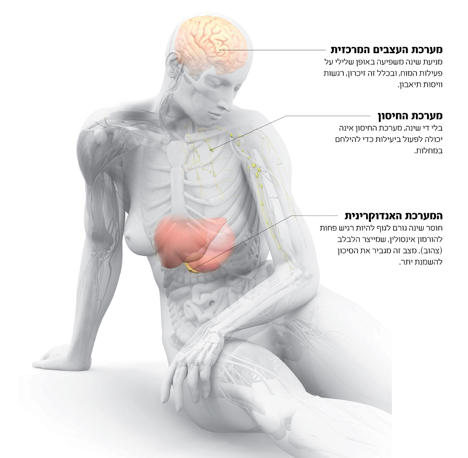 איור גוף האדם עם דגש למערכת העצבים המרכזית,מערכת החיסון והמערכת האנדוקרינית.קרדיט: בריאן כריסטי | Scientific Aemrican