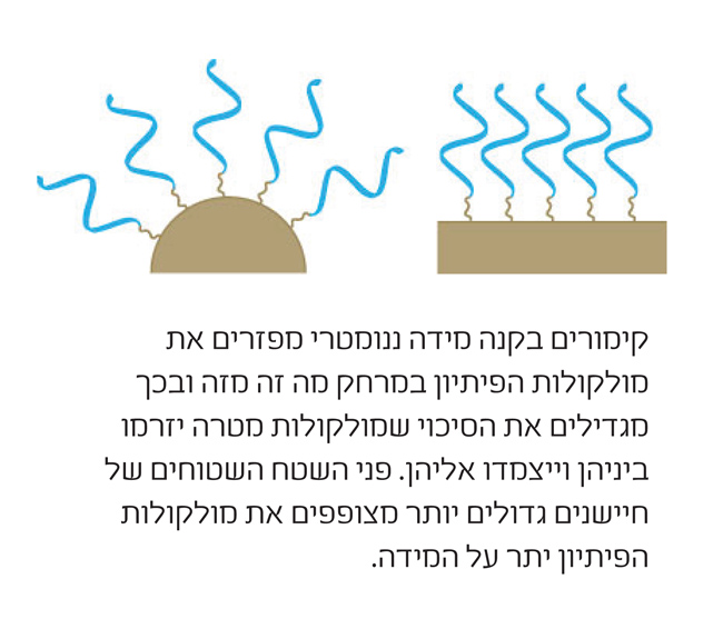 איור קימורים בקנה מידה ננומטרי | Scientific American