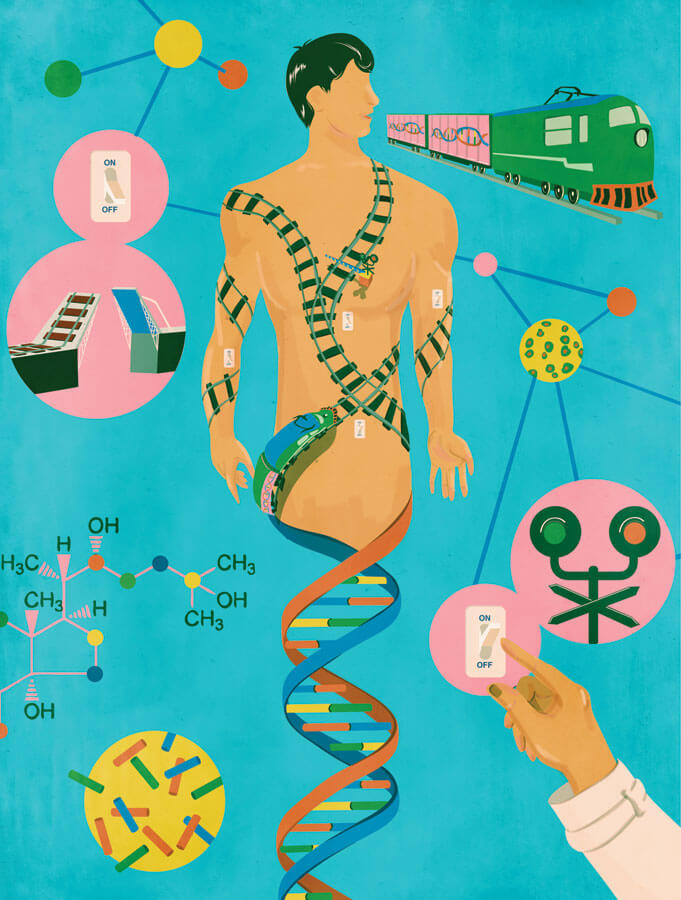 איור מתג לכיבוי ולהדלקה של גנים קרדיט: ג'ורדנו פולני | Scientific American