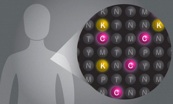 קביעת הרצף של חלבונים | Science Photo Library