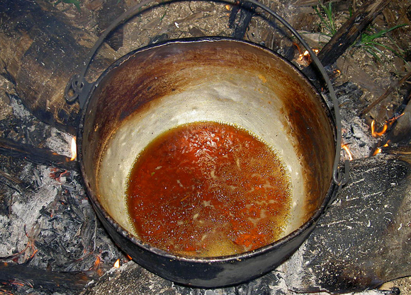 החוק בברזיל מתיר להשתשמש באייהואסקה למטרות דתיות. הכנת המשקה המסורתית | צילום: ויקיפדיה, Terpsichore