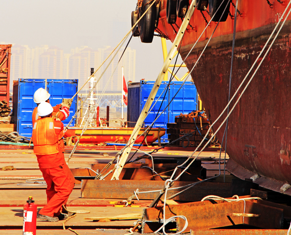 עובדי נמל | צילום: Shutterstock