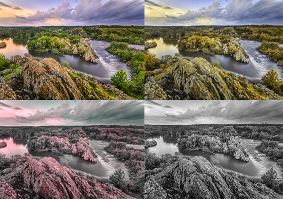 כך אמורים לראות בני אדם בעלי ראייה תקינה, או עם מספר פחות של מדוכים תקינים | מקור: ויקיפדיה, Q-lieb-in