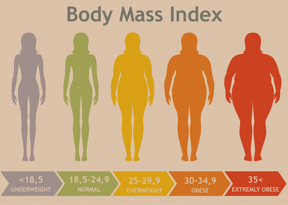 הסיכון למחלות לב עולה ככל שנושאים את עודף המשקל במשך זמן רב יותר. דיאגרמת BMI | מקור: Shutterstock