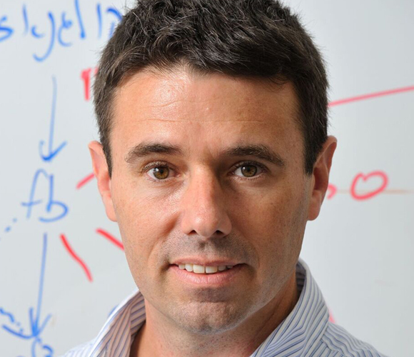 העקרון של הובלת תרופות נגד סרטן לאתר המטרה עובד גם בצמחים. פרופ' אבי שרודר | צילום: דורון גולן, הטכניון