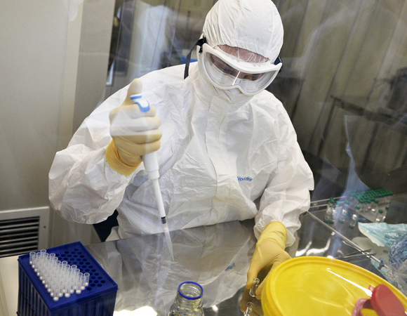 ארגוני בריאות ברחבי העולם מנסים למצוא חיסון יעיל לאבולה. מחקר אבולה במעבדה | צילום: Science Photo Library