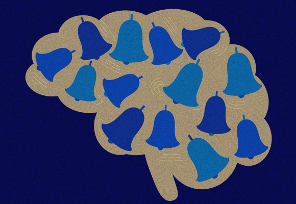 שינויים משמעותיים באזורים שאחראים על פעילות מוטורית ועל קשב – תפקודים שנפגעים אצל סובלים מ-ADHD | איור: Shutterstock