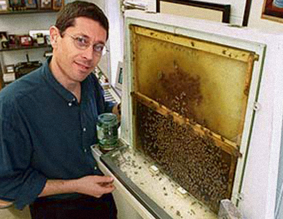 מצא את הקשר בין הגנים להתנהגות החברתית, לא רק אצל דבורים. רובינזון | צילום: אוניברסיטת אילינוי