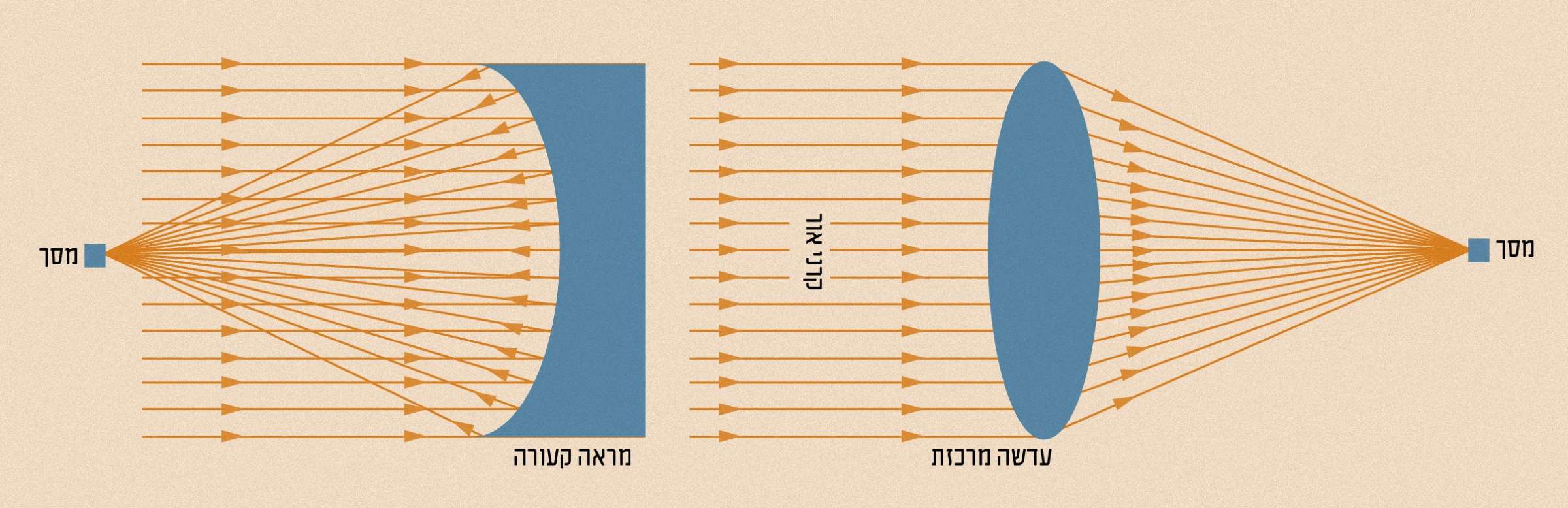 שתי דרכים לרכז את האור בשטח קטן: עדשה מרכזת ומראה קעורה. הצדפות משמשות במראות | איור: גל וינר ומריה גורוחובסקי