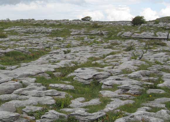למעלה - אדמת טרשים קרחת. למטה יכולות להיווצר מערות נטיפים. נוף טרשים במערב אירלנד | צילום: ויקיפדיה, HEireann