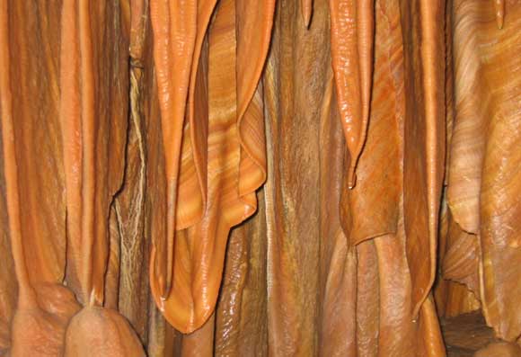 כמו וילונות מקופלים. תצורת עמודים ייחודים ונטיפים נוספים במערת שורק | צילום: Talmoryair, ויקיפדיה