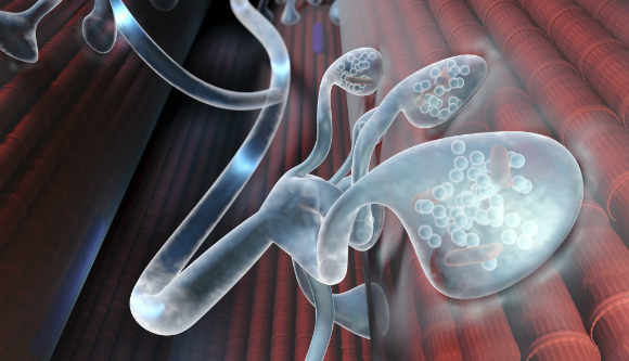 הגז משתק את העברת המידע בין העצב לשריר, ולכן גורם לפגיעה בשרירים. איור של סינפסות | מקור: Science Photo Library