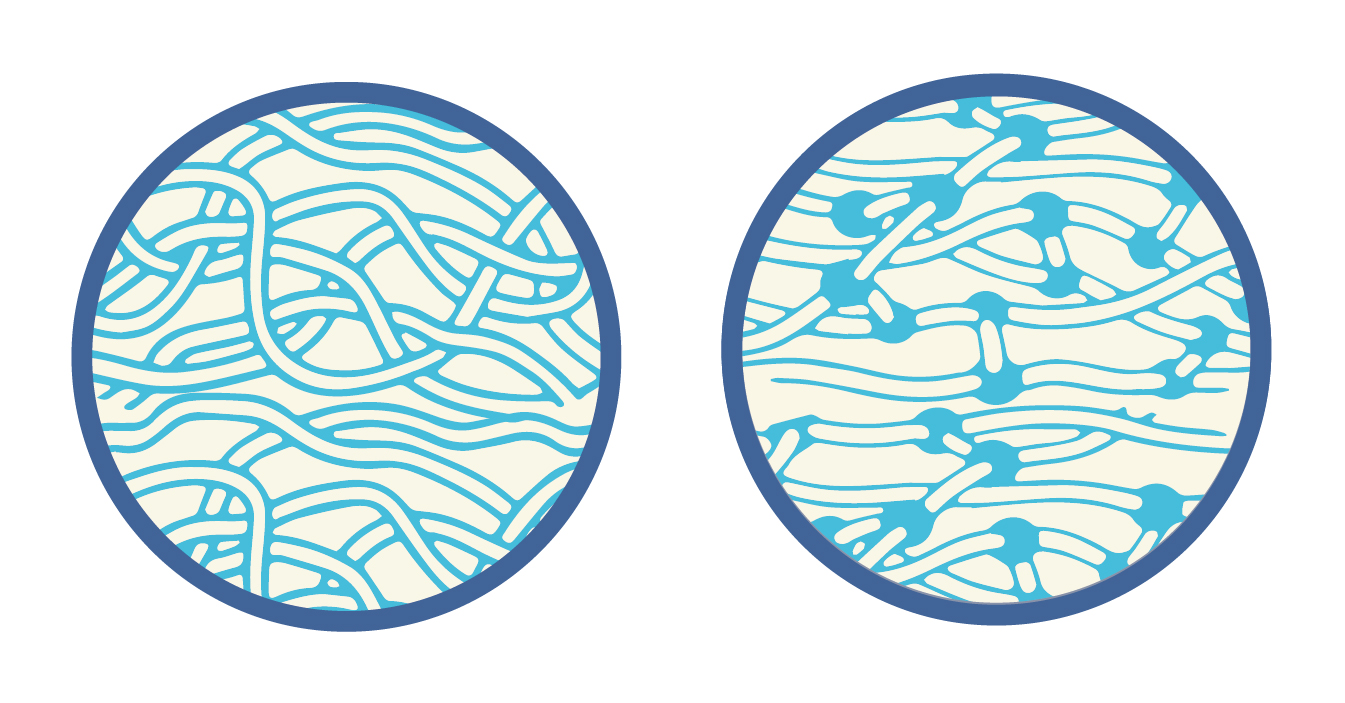 בכל תלוי בטיב הקשרים בין שרשראות הפולימר. חומר תרמוסטי (מימין) וחומר תרמולפסטי | איור: מריה גורוחובסקי