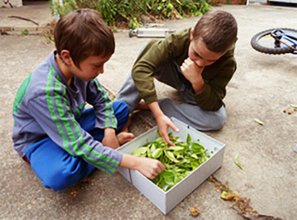 ילדים חוקרים את החרקים