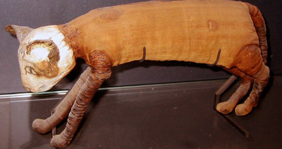 מומיה של חתול ממצרים העתיקה, המוצגת במוזיאון לובר בפריס | צילום: ויקיפדיה, Greudin, נחלת הכלל