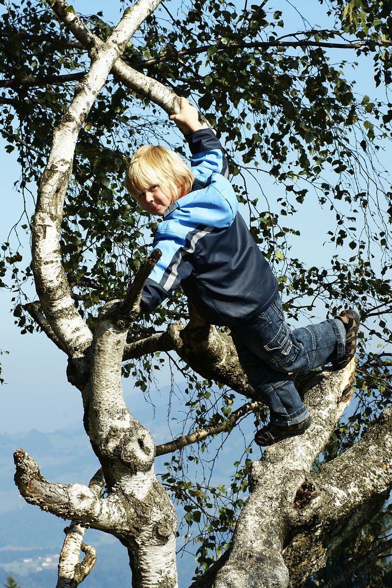 ילד היפראקטיבי מטפס על עץ